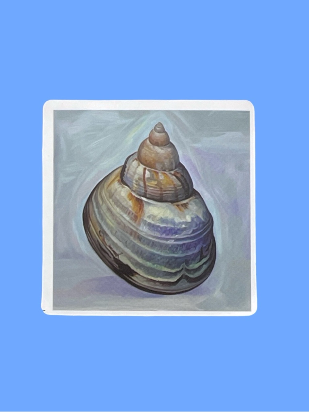 Seashell Sticker